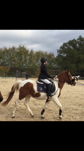 Photo de profil de romane_zrb