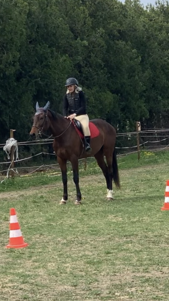 Photo de profil de romy84
