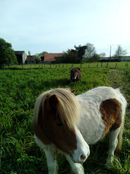 Photo de profil de rosalieponette