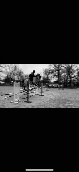 Photo de profil de rose69