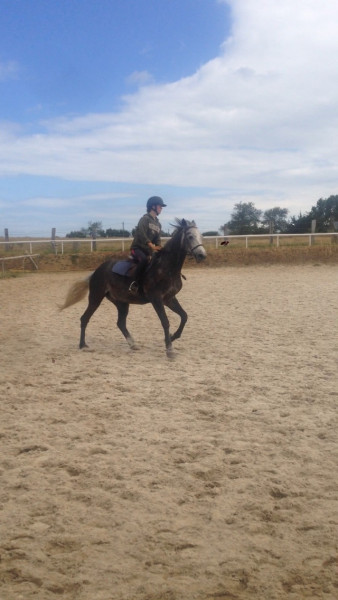 Photo de profil de rose722