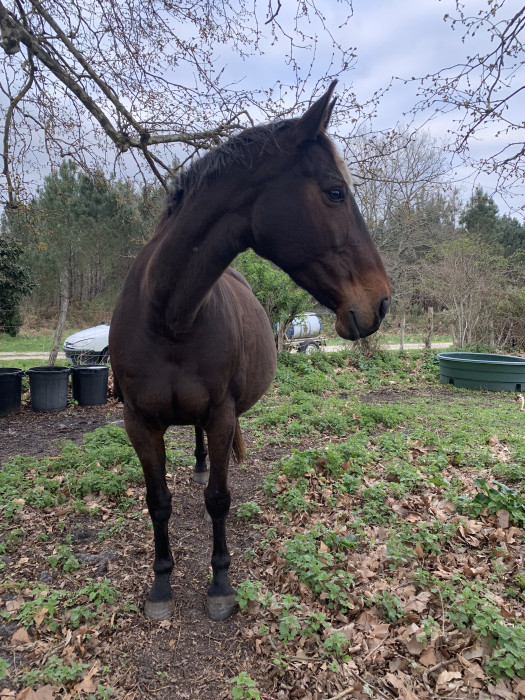 Photo de profil de roseline33