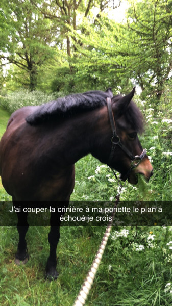 Photo de profil de rosmaude