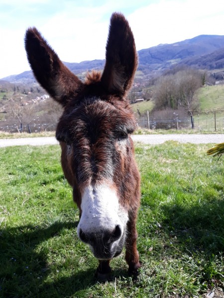 Photo de profil de roudoudinette