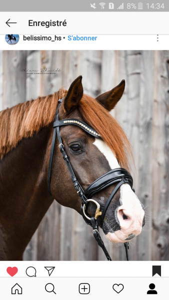 Photo de profil de roxane.ferre