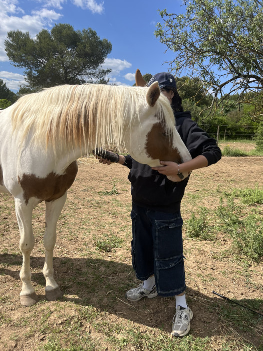 Photo de profil de rox.hrms