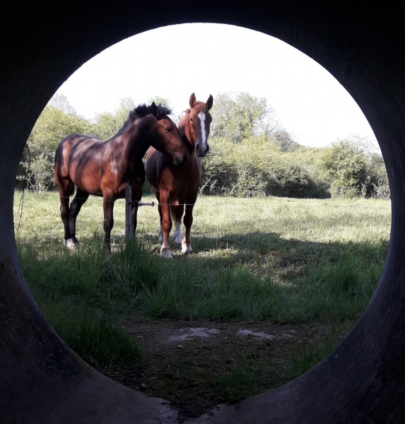 Photo de profil de rudy79