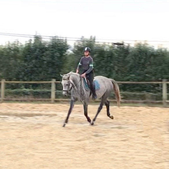 Photo de profil de runell