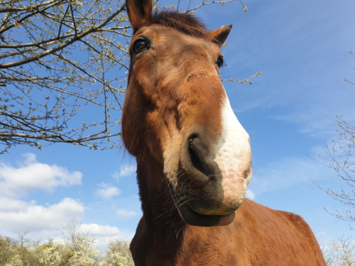 Photo de profil de saab57