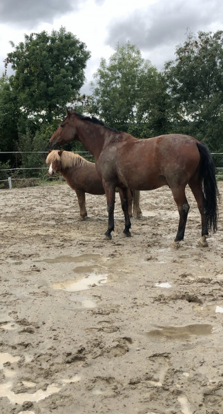 Photo de profil de sabreena57