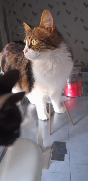 Photo de profil de sabrina12