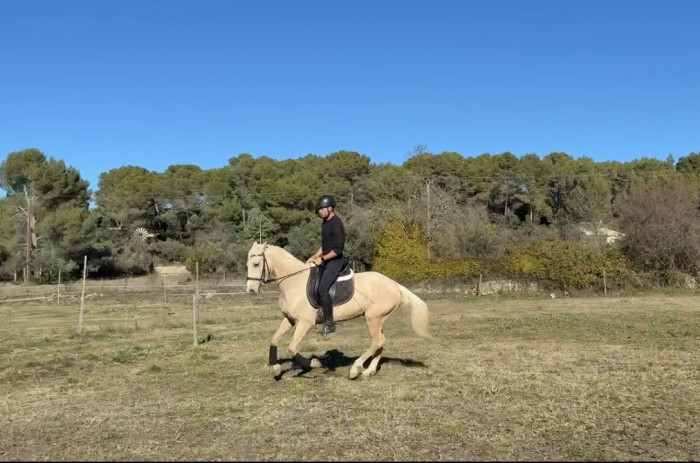 Photo de profil de sachamatty