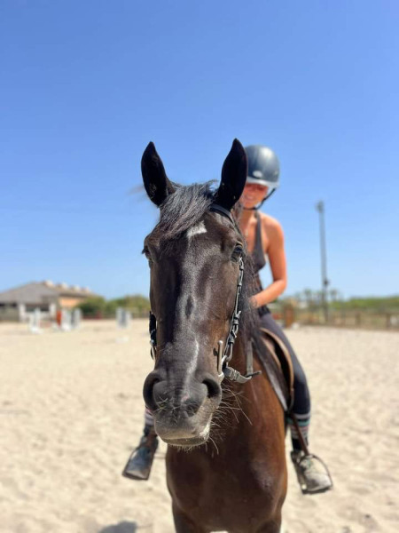 Photo de profil de saequestrian