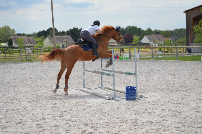 Photo de profil de sahra_l