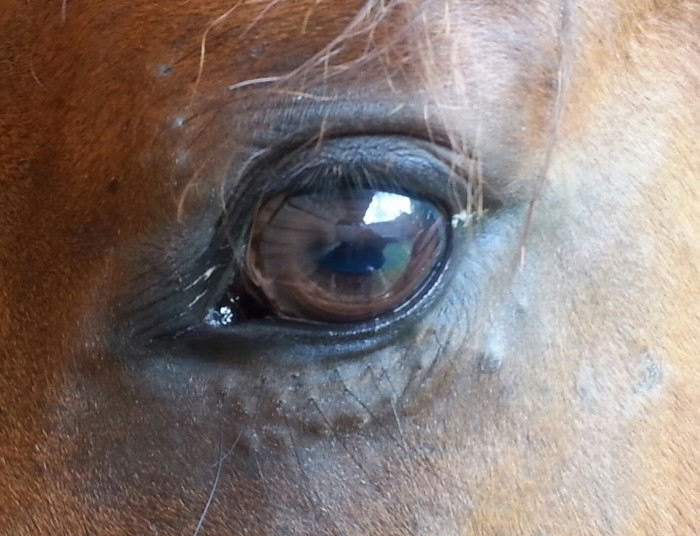 Photo de profil de saiah