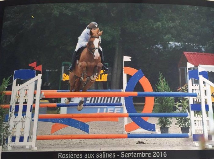 Photo de profil de salomectl