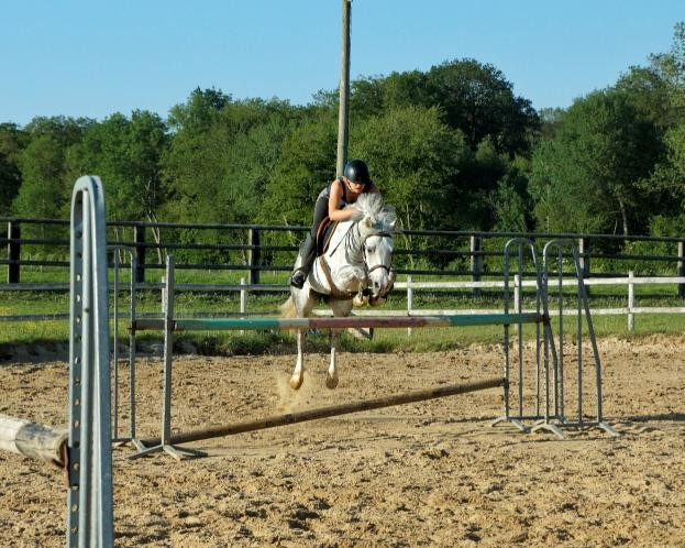 Photo de profil de salome_mrcd