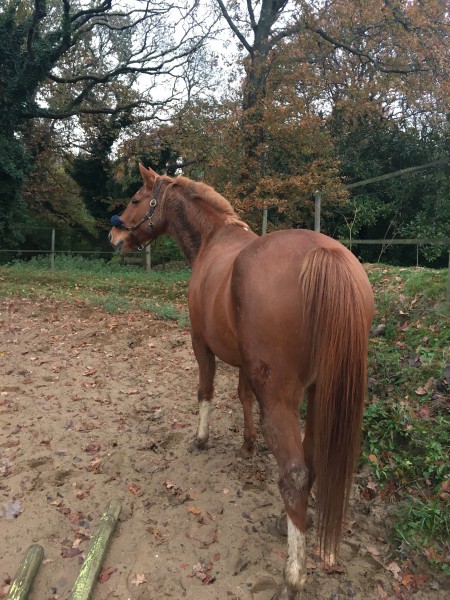 Photo de profil de salsa16