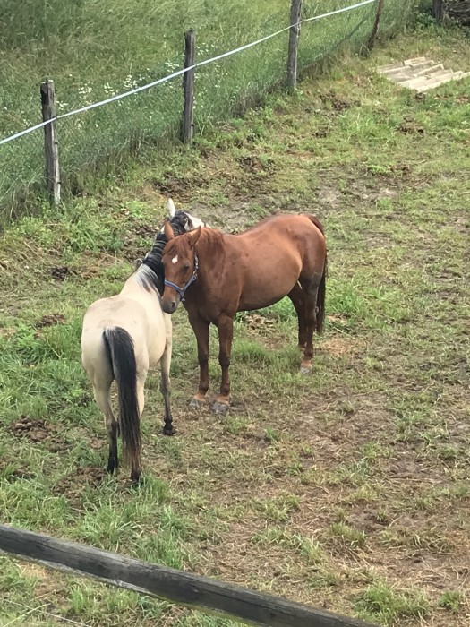 Photo de profil de s.a.m