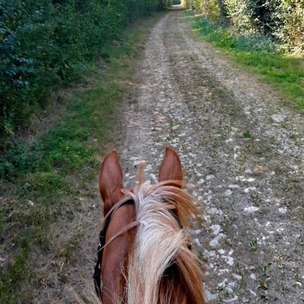 Photo de profil de sam86