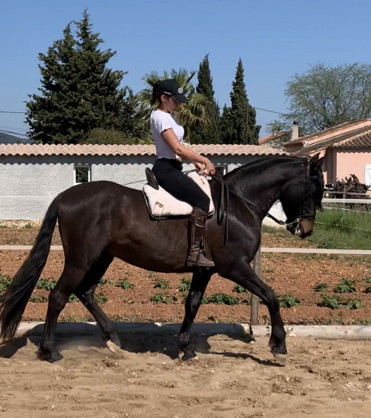 Photo de profil de samsam83130