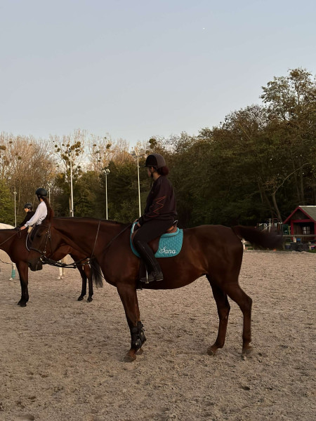 Photo de profil de sana_equestrian