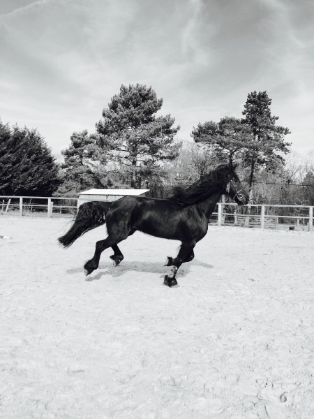 Photo de profil de sandra89