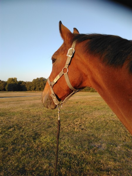 Photo de profil de sandrine78117
