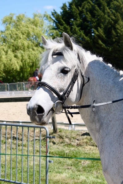 Photo de profil de sarah.2000