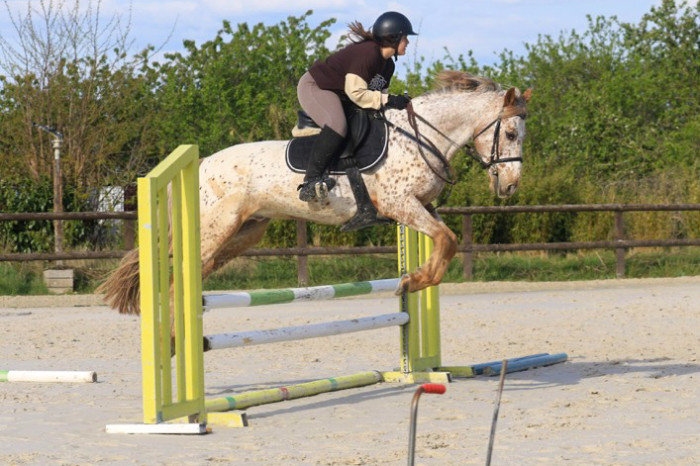 Photo de profil de sarah.asd