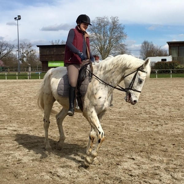 Photo de profil de sarahpanda