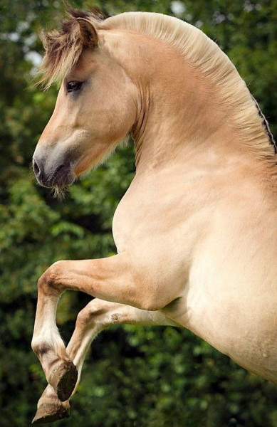 Photo de profil de sarapachat