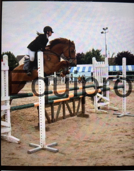 Photo de profil de saraveto