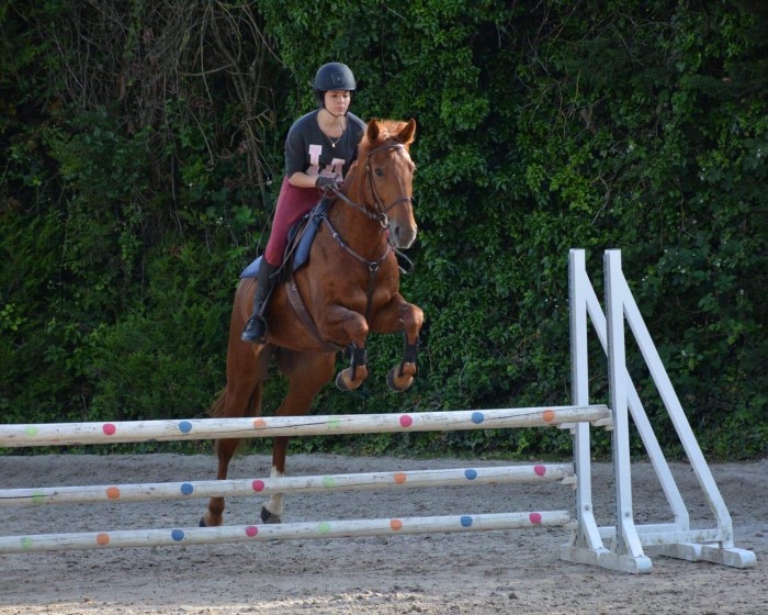 Photo de profil de sashapll