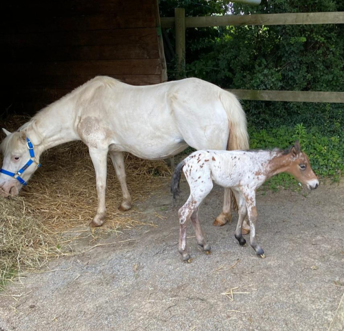 Photo de profil de scarlett49