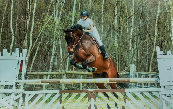 Photo de profil de scrabi6