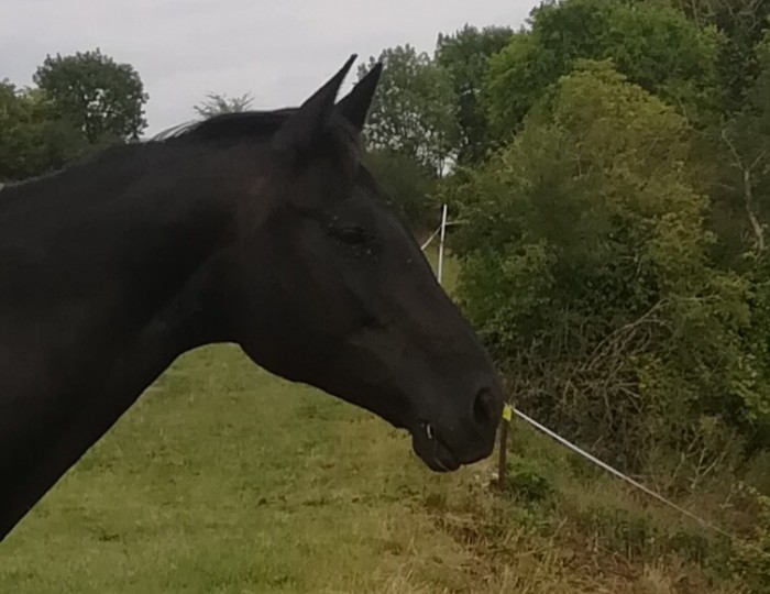 Photo de profil de seegritt