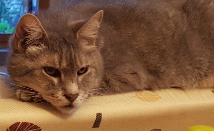 Photo de profil de selena95510