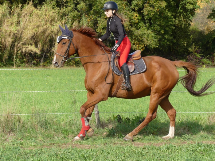 Photo de profil de selenatrn