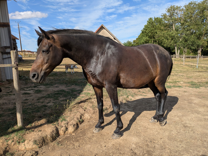 Photo de profil de serena45