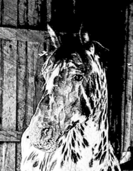 Photo de profil de serenety