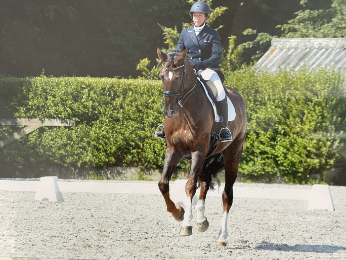 Photo de profil de sesostris