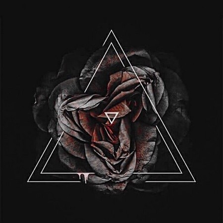 Photo de profil de seunta_o