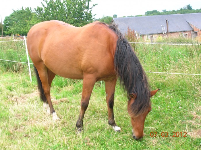 Photo de profil de sev84