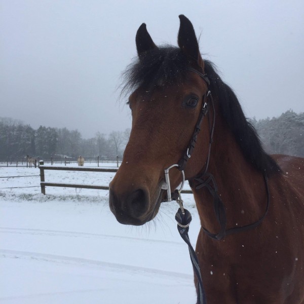 Photo de profil de sg45