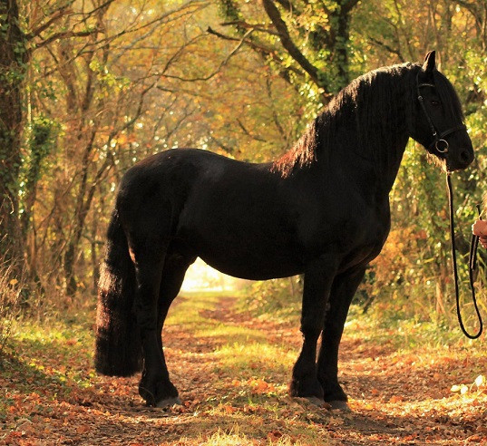 Photo de profil de shali1975