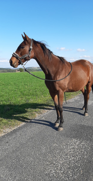 Photo de profil de sheilaa