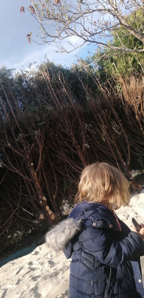 Photo de profil de sheshe6