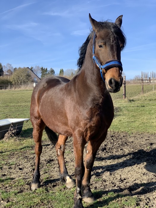 Photo de profil de siciliabella