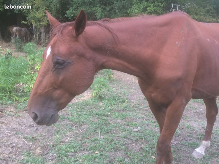 Photo de profil de sickofitall33